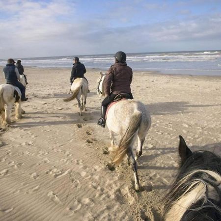 Maison Independante De Vacances Hardelot Plage Нефшатель-Ардело Екстер'єр фото