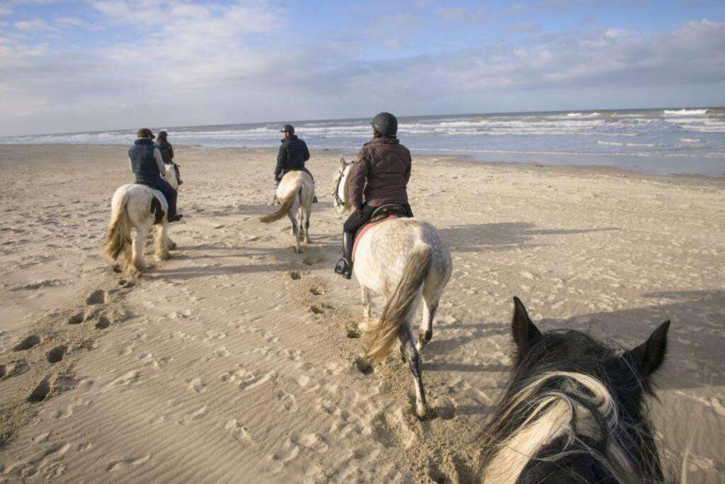 Maison Independante De Vacances Hardelot Plage Нефшатель-Ардело Екстер'єр фото